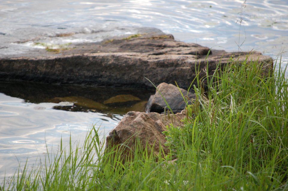 SUMMER2010- (62)